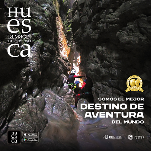 Creatividad Feed Creatividad Feed